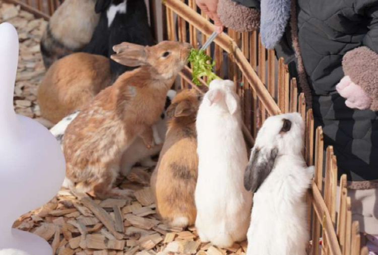 대구 네이처파크