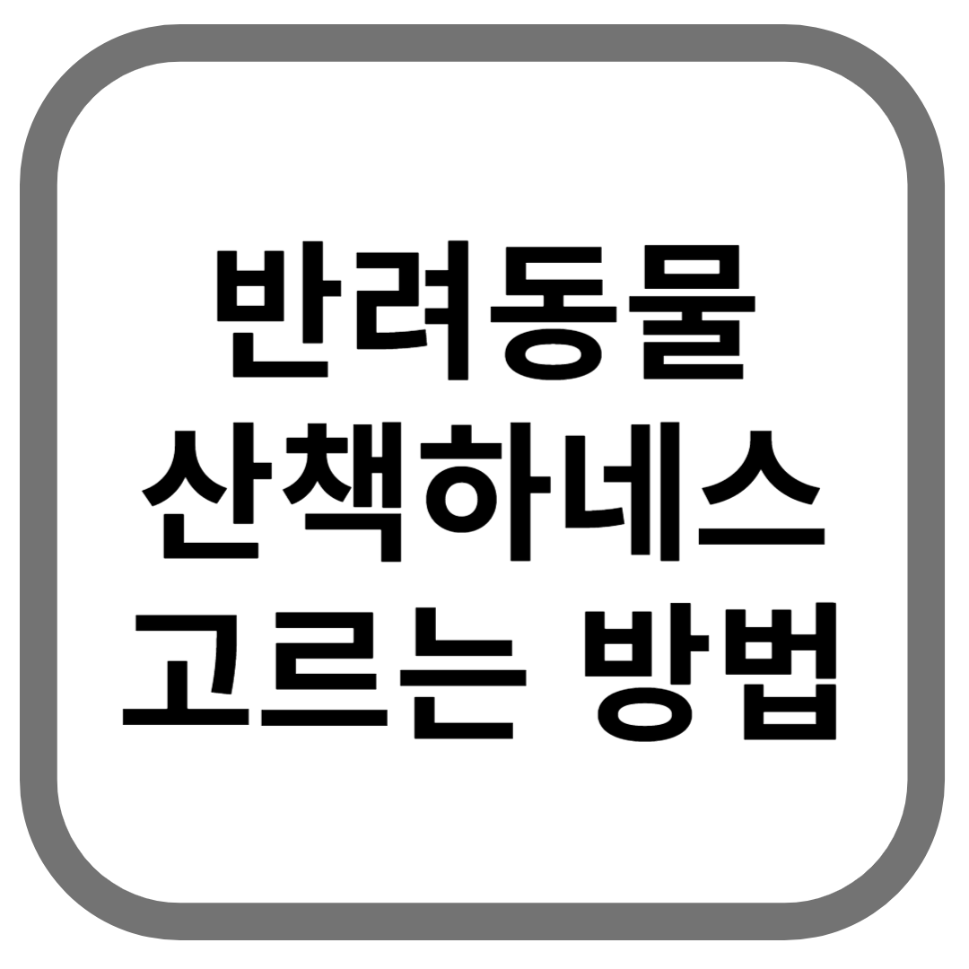 반려동물 산책하네스 고르는 방법이라고 적힌 썸네일
