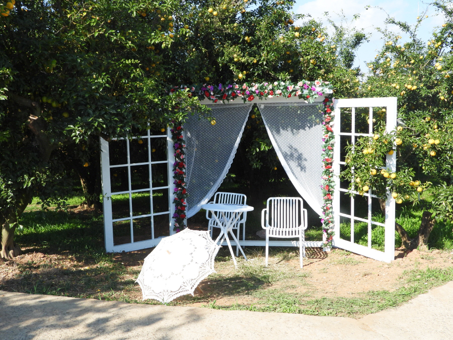 2024 고흥 유자 축제