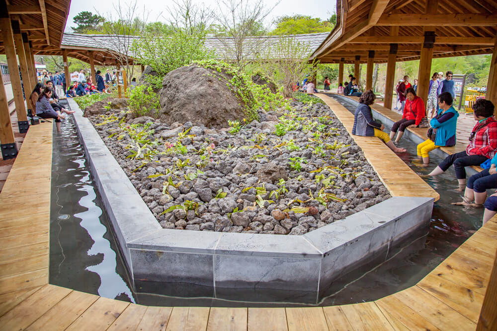 제주도 가볼만한곳 10곳, 제주도 가볼만한곳, 제주도 갈만한곳, 제주도 여행, 제주도, 제주도 추천 여행지, 제주도 추천 관광지, 제주도 박물관, 제주도 추천, 신화월드, 피규어뮤지엄, 헬로키티아일랜드, 981파크, 소인국테마파크, 테디베어뮤지엄, 메이즈랜드, 에코랜드