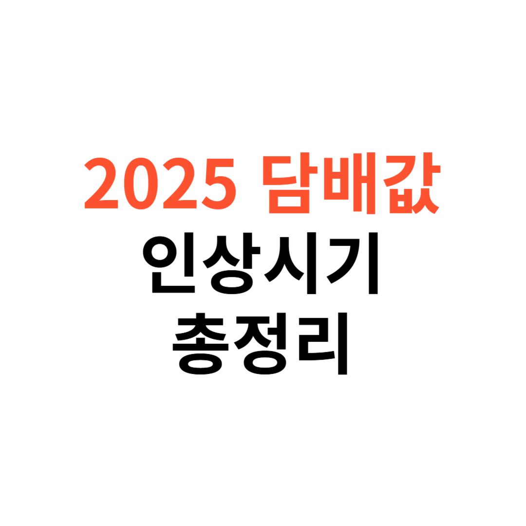 2025년 담배값