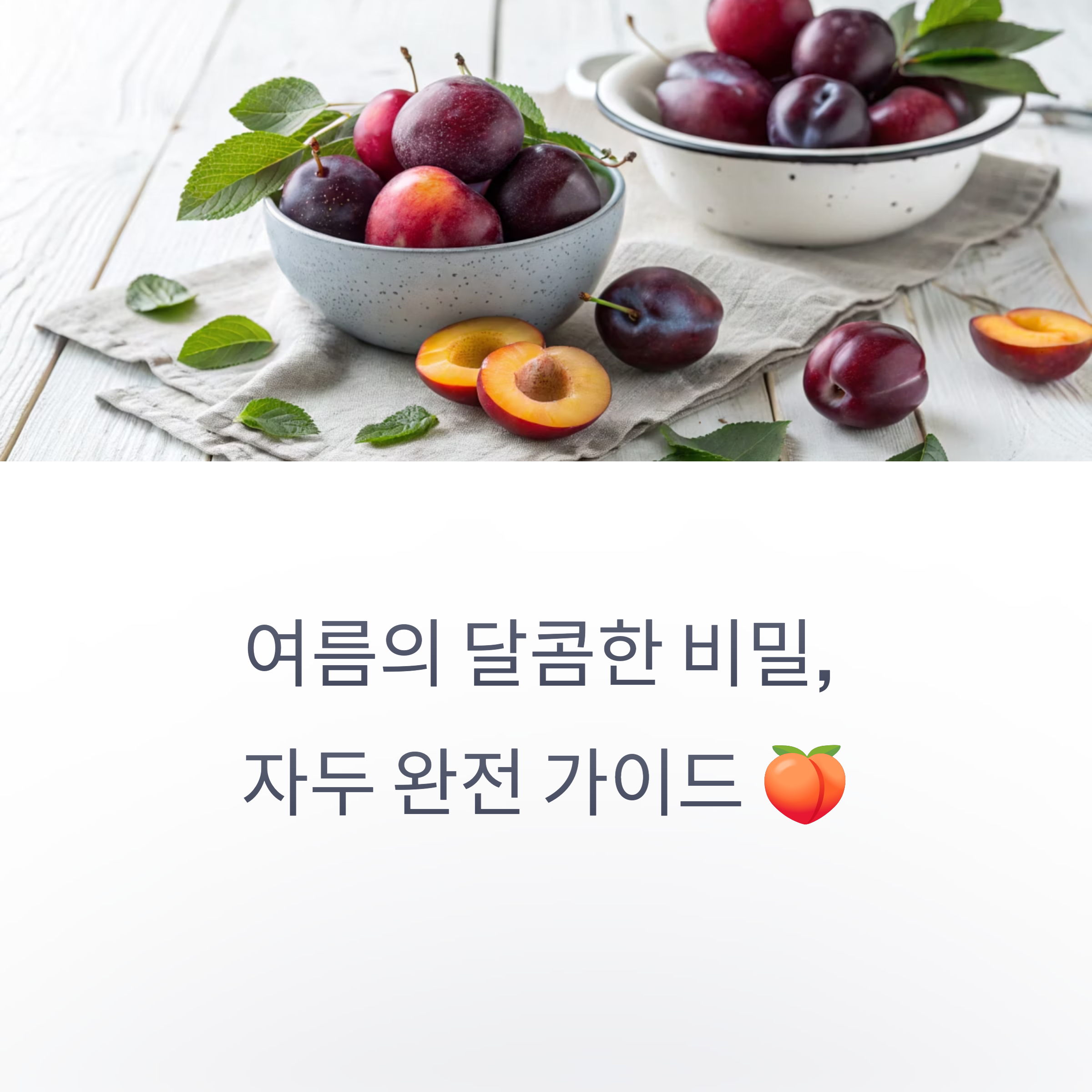 여름을 책임지는 자두, 새콤달콤 대석부터 진한 추희자두까지