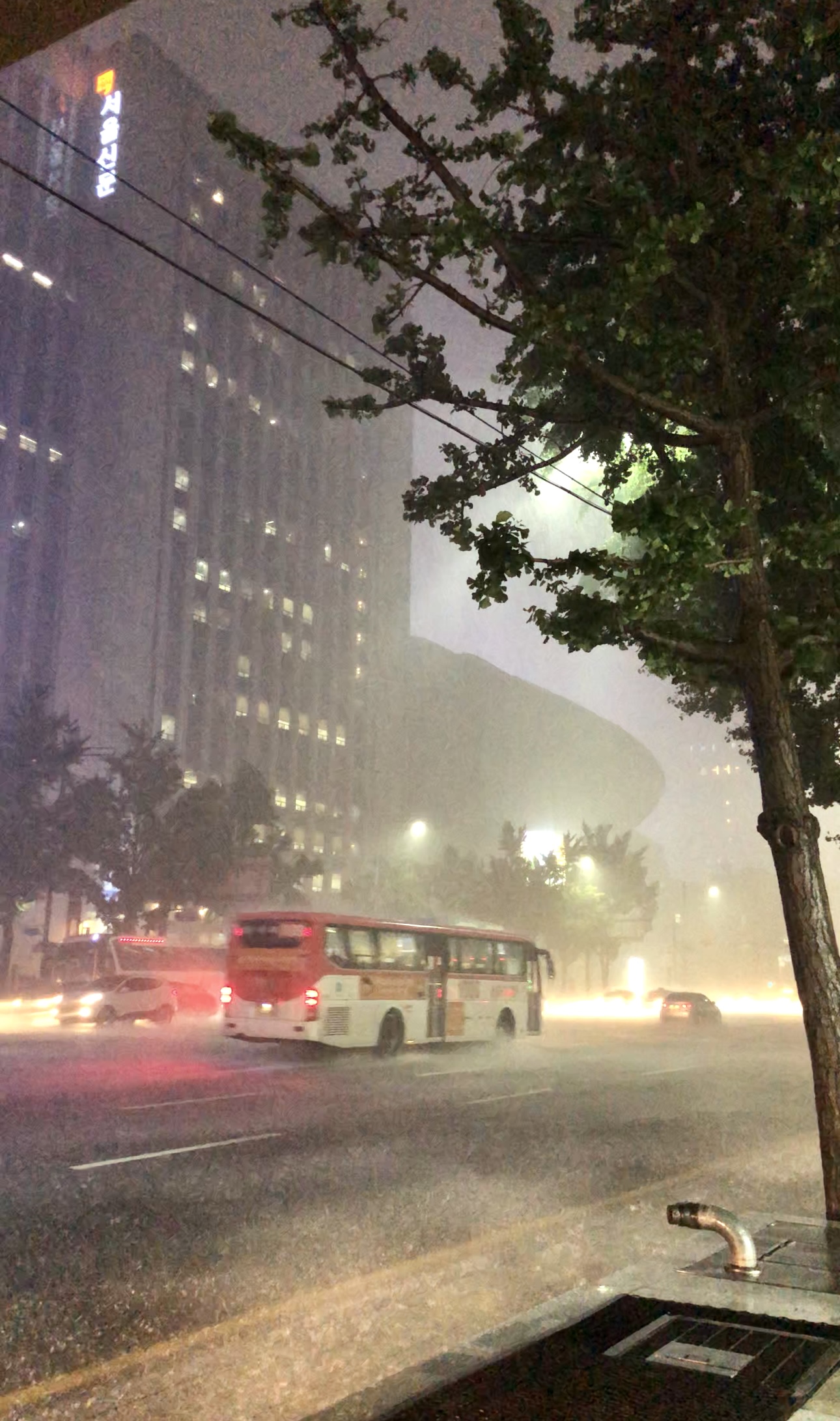 2023년 장마철 기간