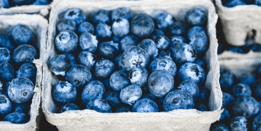 췌장에 좋은 음식 사진 블루베리