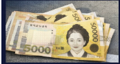 공영주차장 차량 5부제 총정리 (과태료 피하는 방법 지금 바로 확인하세요)