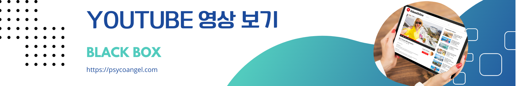 초보의 황당한 신호 위반