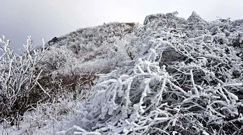 소백산 설경