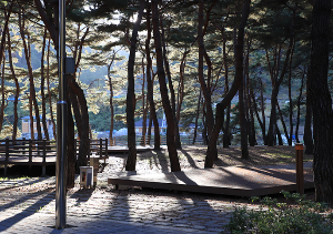 차박하기 좋은 곳