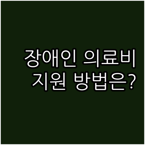 2025년 저소득 장애인 의료비 지원..