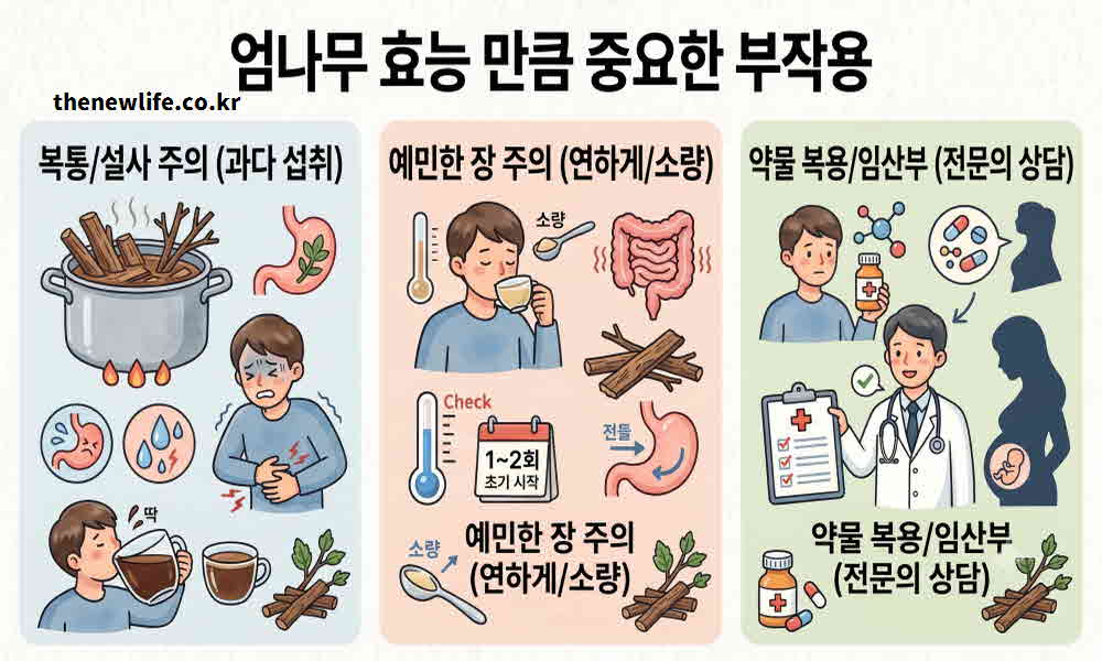 엄나무 효능 부작용