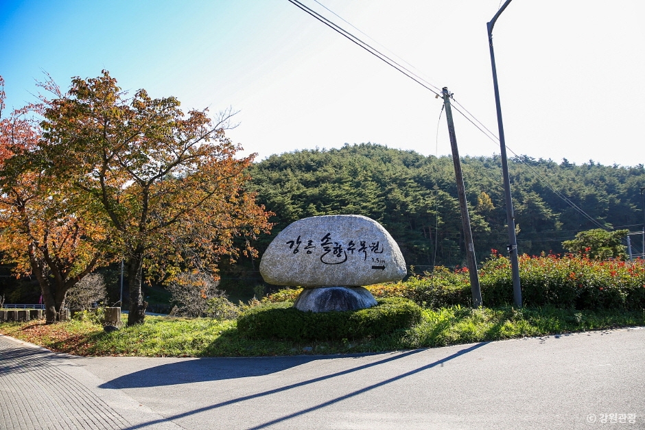 강릉 가볼만한 곳 BEST 10