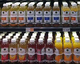 콤부차 효능 효과 부작용