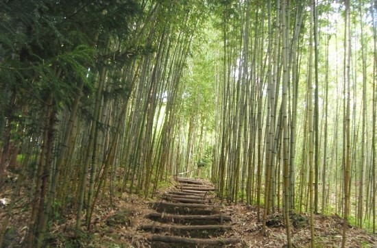 법정스님의 삶에 대한 깊은 생각과 인생의 지혜