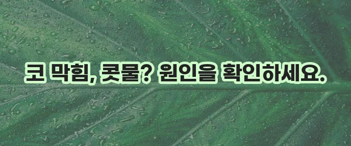 혈관운동성 비염 원인과 증상 꼭 알아야 합니다