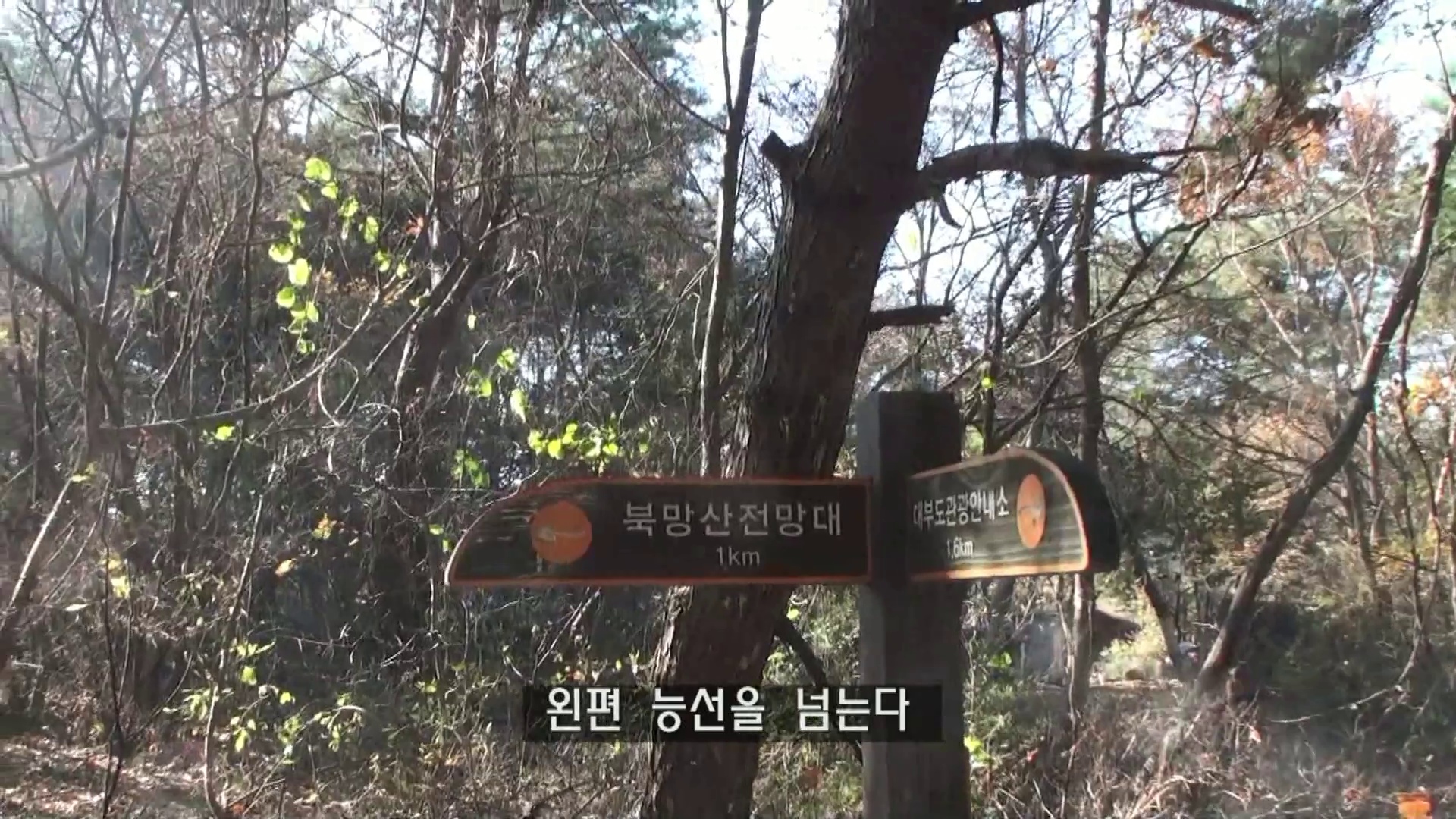 나무 사이에 놓인 북망산 방향 이정표