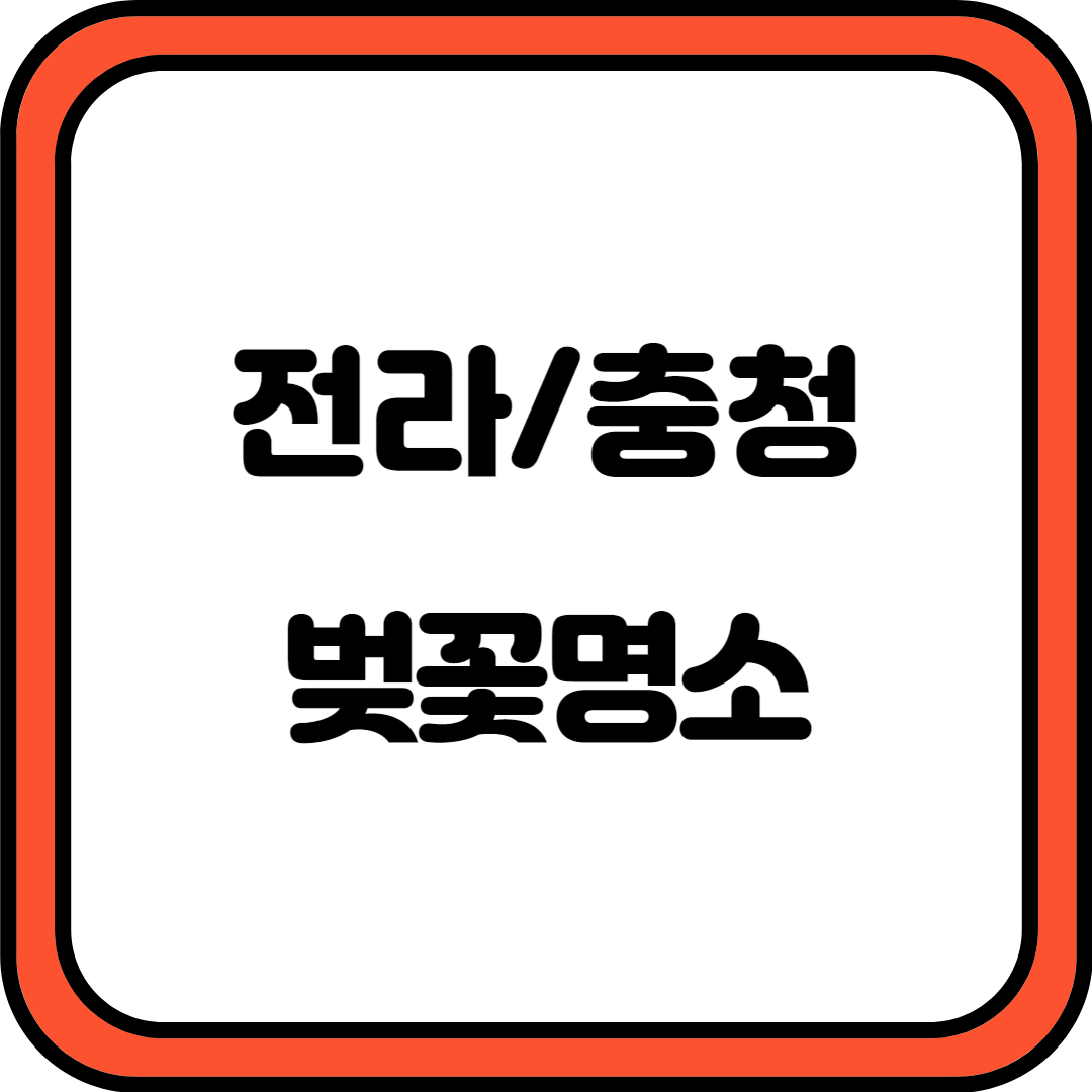 전라 충청 벚꽃 명소