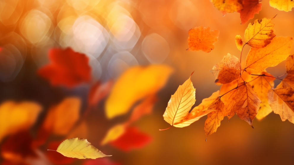 계절의 변화를 세분화한 24 절기 중 '입추' 이해하기