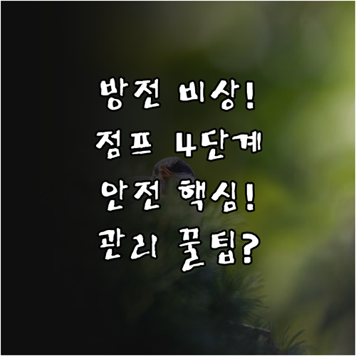 자동차 배터리 방전 시 점프 스타트 ..