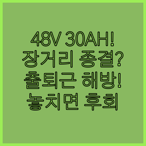 Deepower 48V 30AH로 장..