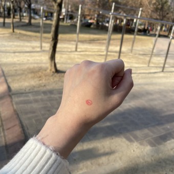 2025 대통령선거 일정7