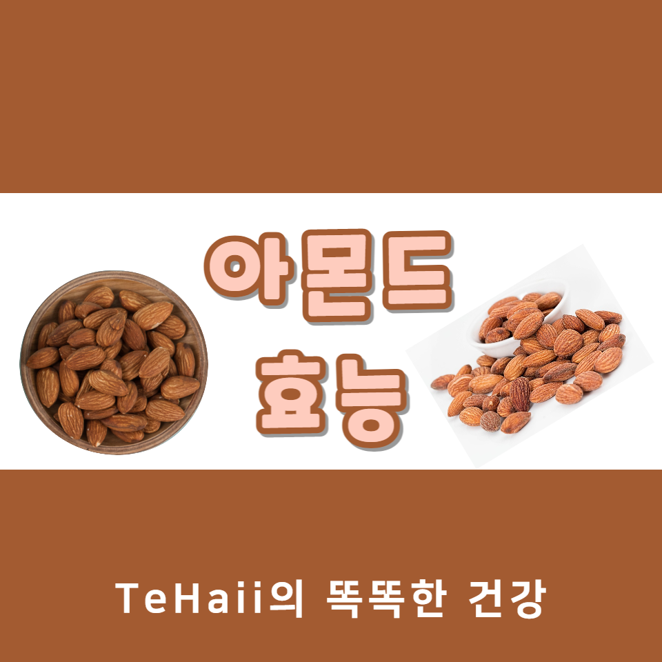 아몬드 효능_대표그림