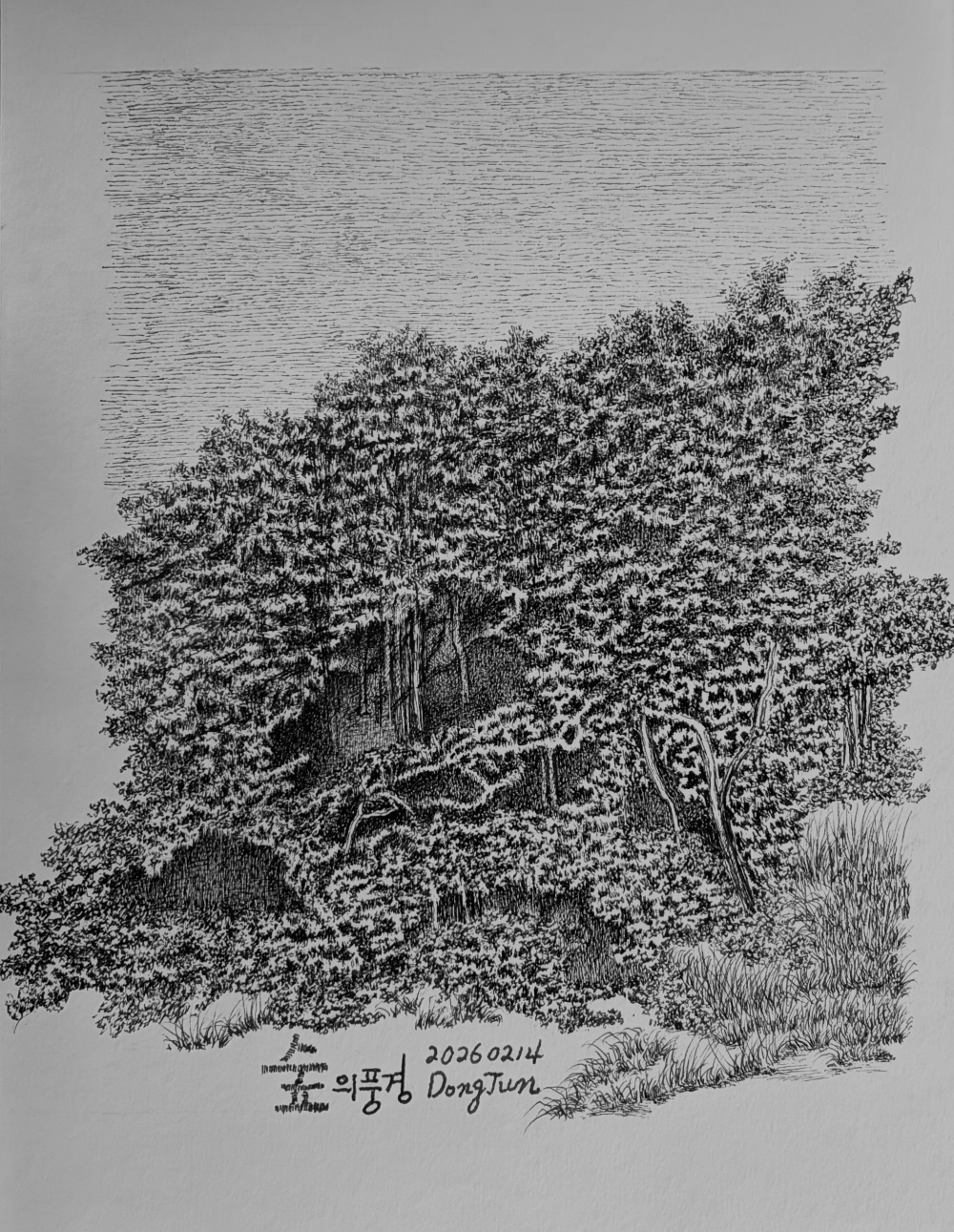 펜 드로잉 명암 연습