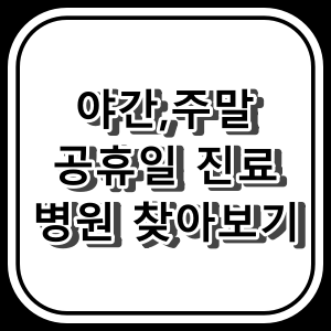 야간 진료 병원, 토요일 진료 병원, 일요일 진료 병원, 공휴일 진료 병원 찾기.