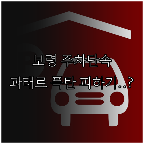 보령시 불법 주정차 문자 알림 서비스..