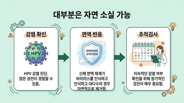 HPV 감염과 자연 소실 설명