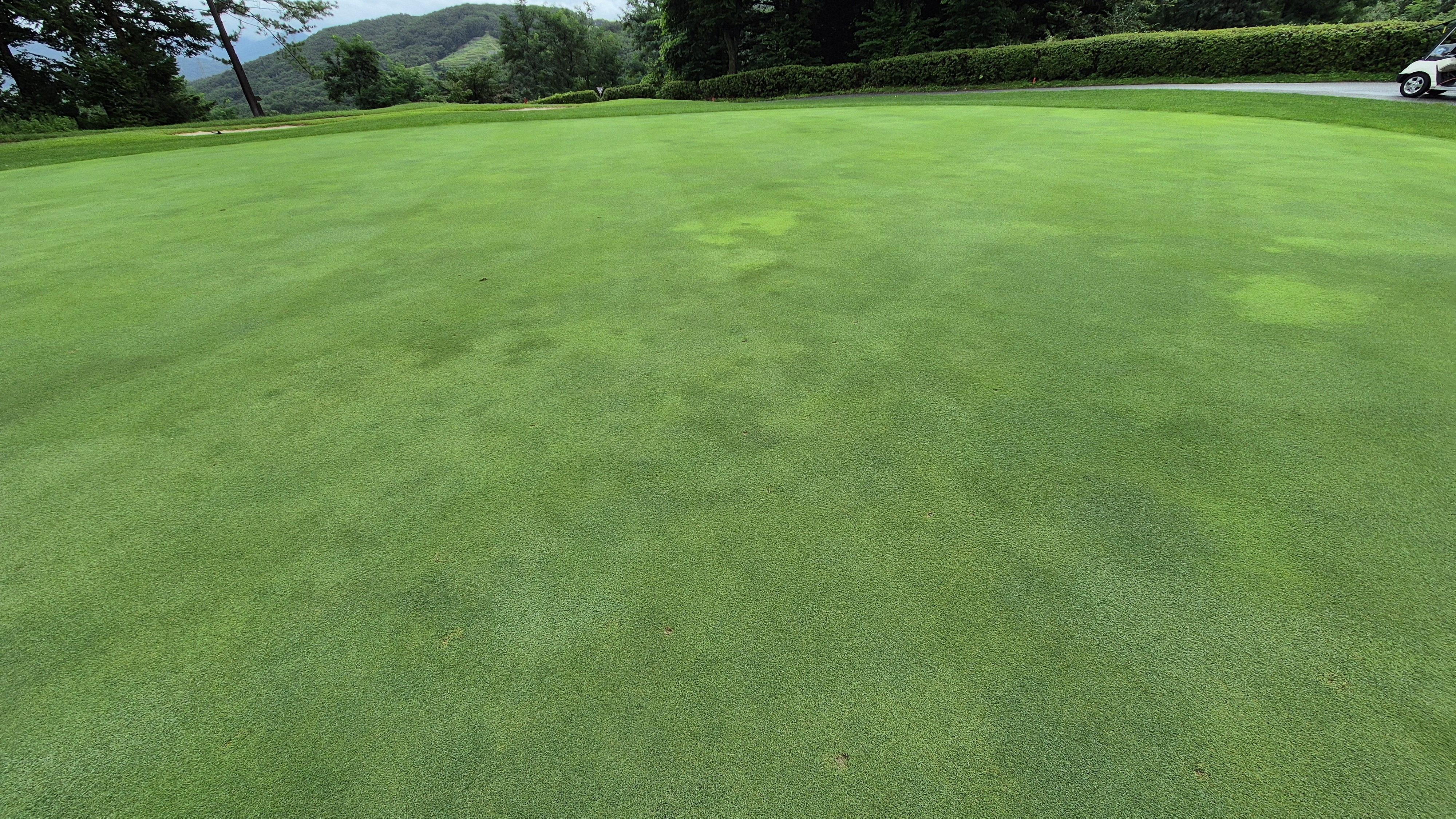 뉴서울cc 예술in-문화in 코스 라운드 후기