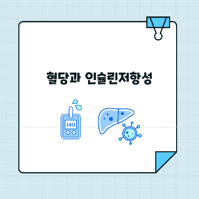 혈당과 인슐린저항성 썸네일