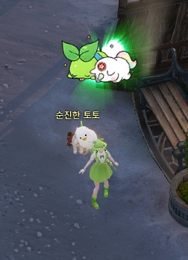 같이 일출 구경하자에요 