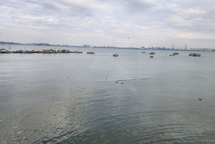 당진시 상록수파크골프장 소개