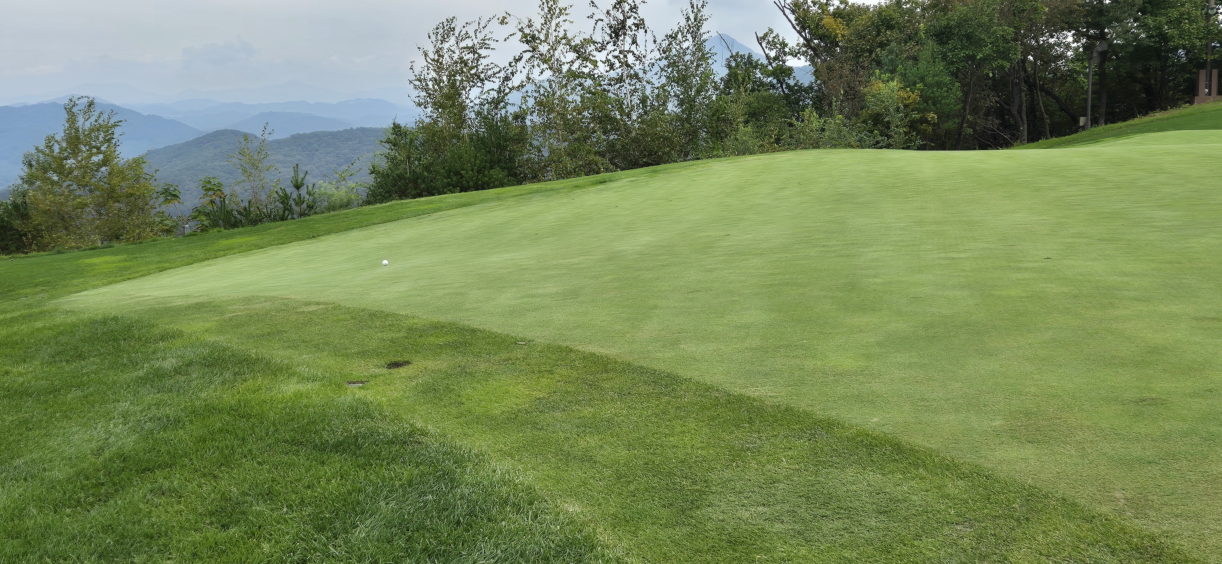 소노팰리체cc이스트