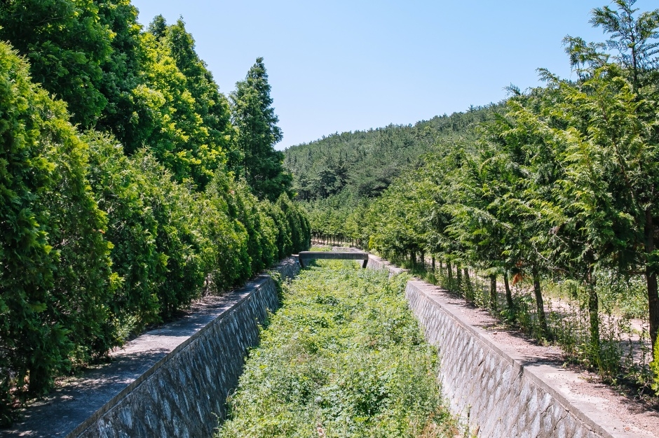 영덕 가볼만한곳 베스트10