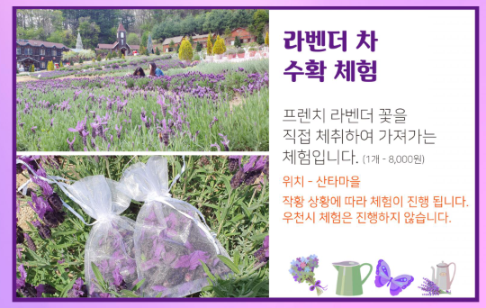 허브아일랜드 라데봄축제? 당신만 모르는 비밀 공간