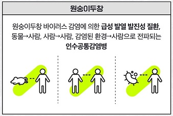 엠폭스증상