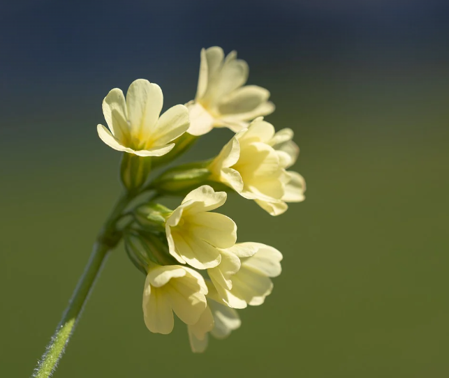 기부금 영수증, 연말정산 세액 공제, 기부단체