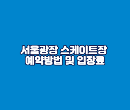 서울광장 스케이트장 예약방법 및 입장료