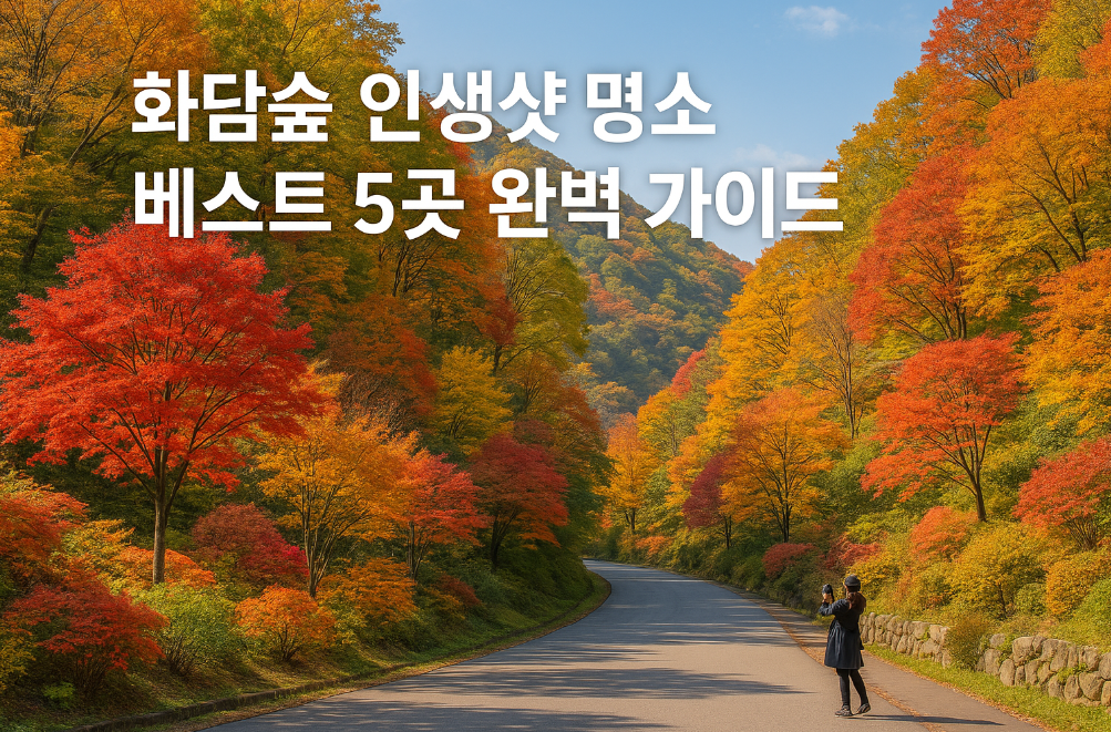 화담숲 인생샷 명소 베스트 5곳 완벽 가이드