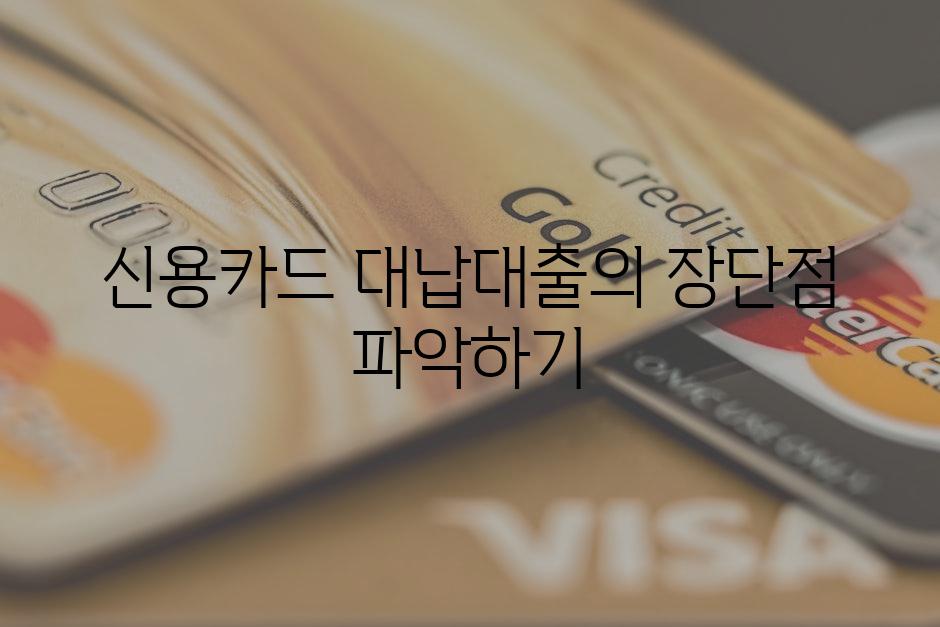 신용카드 대납대출의 장단점 파악하기