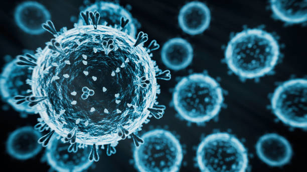 A형 독감과 B형 독감의 차이점