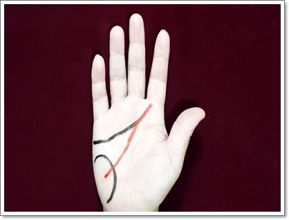 감정선 목성언덕 운명선