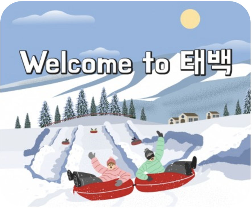 태백산 눈축제 프로그램