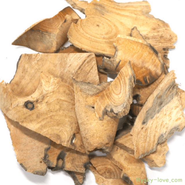 혈액순환 및 어지럼증에 좋은 송절