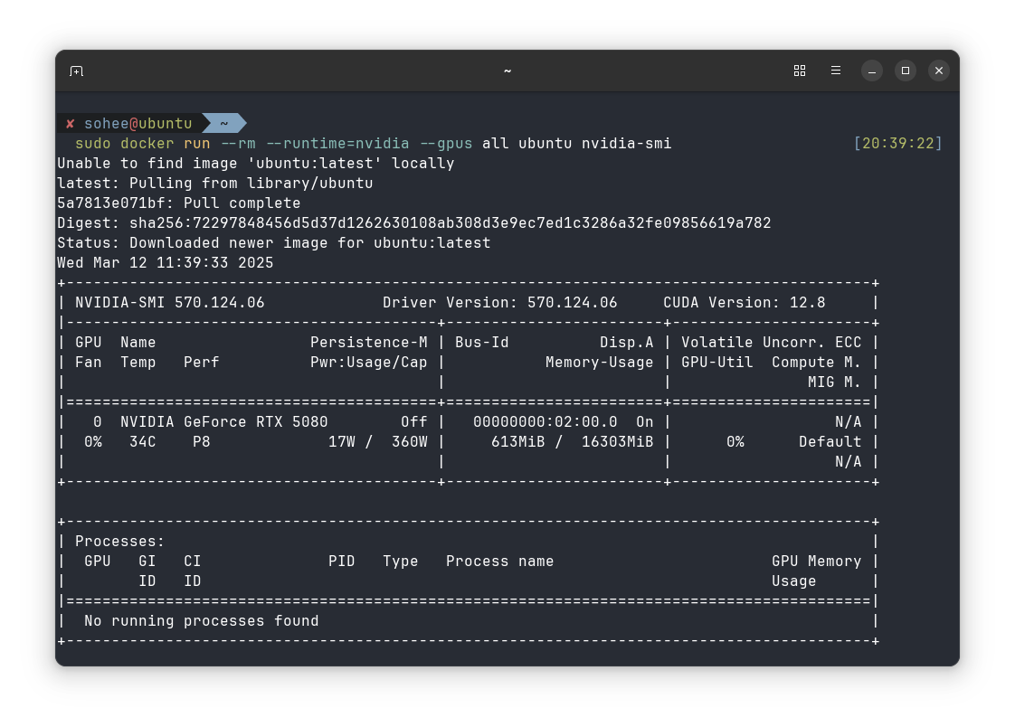 sudo docker run --rm --runtime=nvidia --gpus all ubuntu nvidia-smi