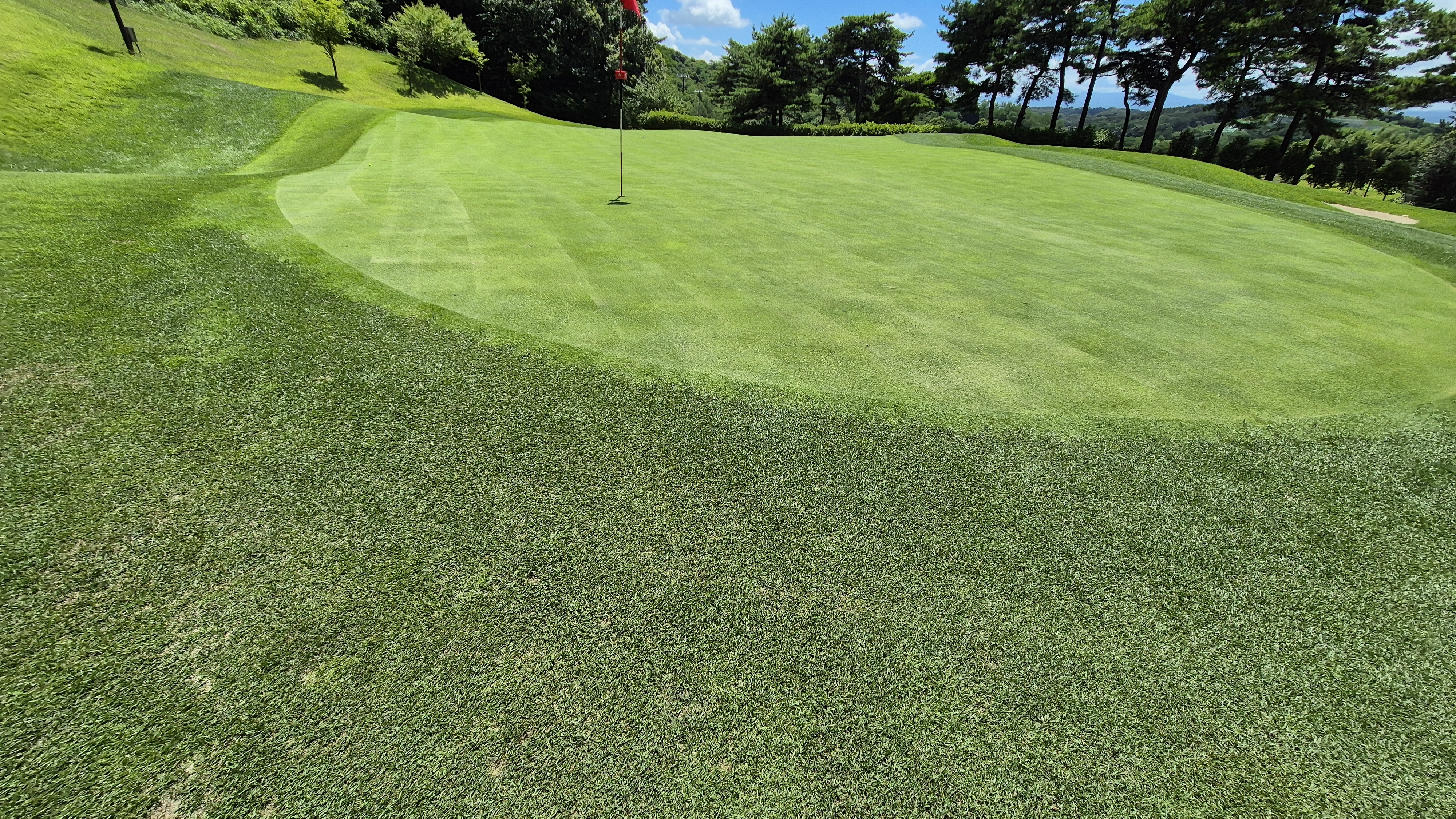 SG 아름다운cc 라운드 후기