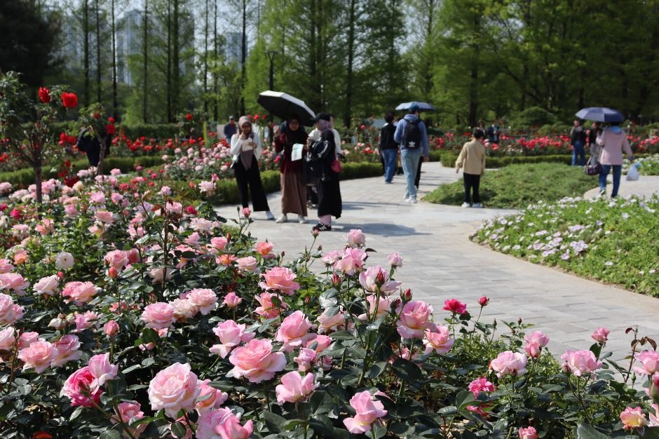 호수공원 산책로