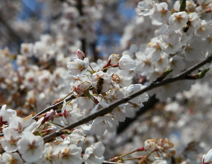 화담숲 관련 사진