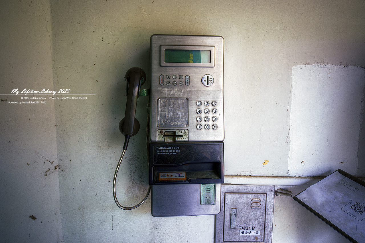 #봄 #캠퍼스 #대학교 #서울대 #서울 #오후 #서울대학교